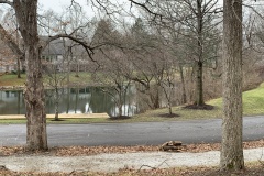The-Ridge-On-Williams-Creek-Spring-Lake-Views-3