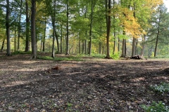 the-Ridge-on-Wiilams-Creek-Tree-Clearing-Continues-1