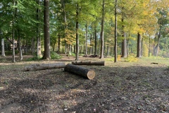 the-Ridge-on-Wiilams-Creek-Tree-Clearing-Continues-2