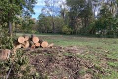 the-Ridge-on-Wiilams-Creek-Tree-Clearing-Continues-3
