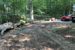 the-Ridge-on-Williams-Creek-Tree-Clearing-