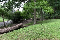 the-Ridge-on-Williams-Creek-Tree-Clearing-3