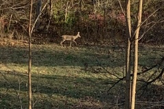 the-Ridge-on-Williams-Creek-who-are-you-3