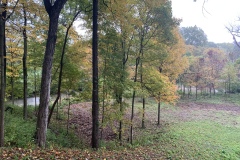 the-Ridge-on-Wiilams-Creek-Tree-Clearing-Visible-1