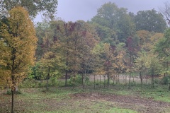 the-Ridge-on-Wiilams-Creek-Tree-Clearing-Visible-2