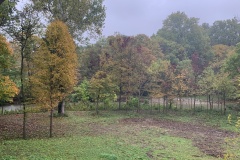 the-Ridge-on-Wiilams-Creek-Tree-Clearing-Visible-3